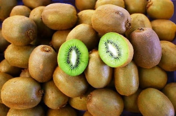 تصویر 4 از قیمت خرید کیوی با فروش عمده